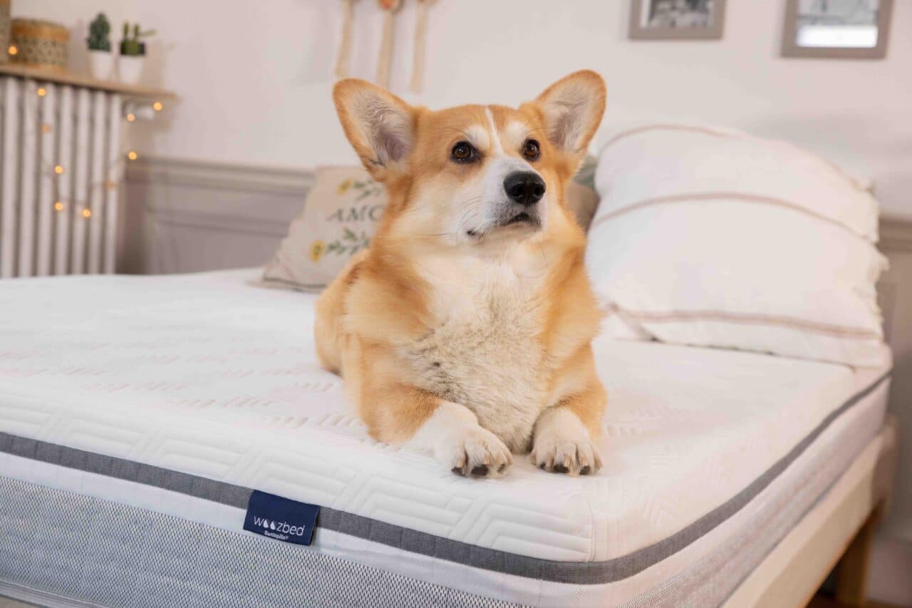 Woozbed matelas