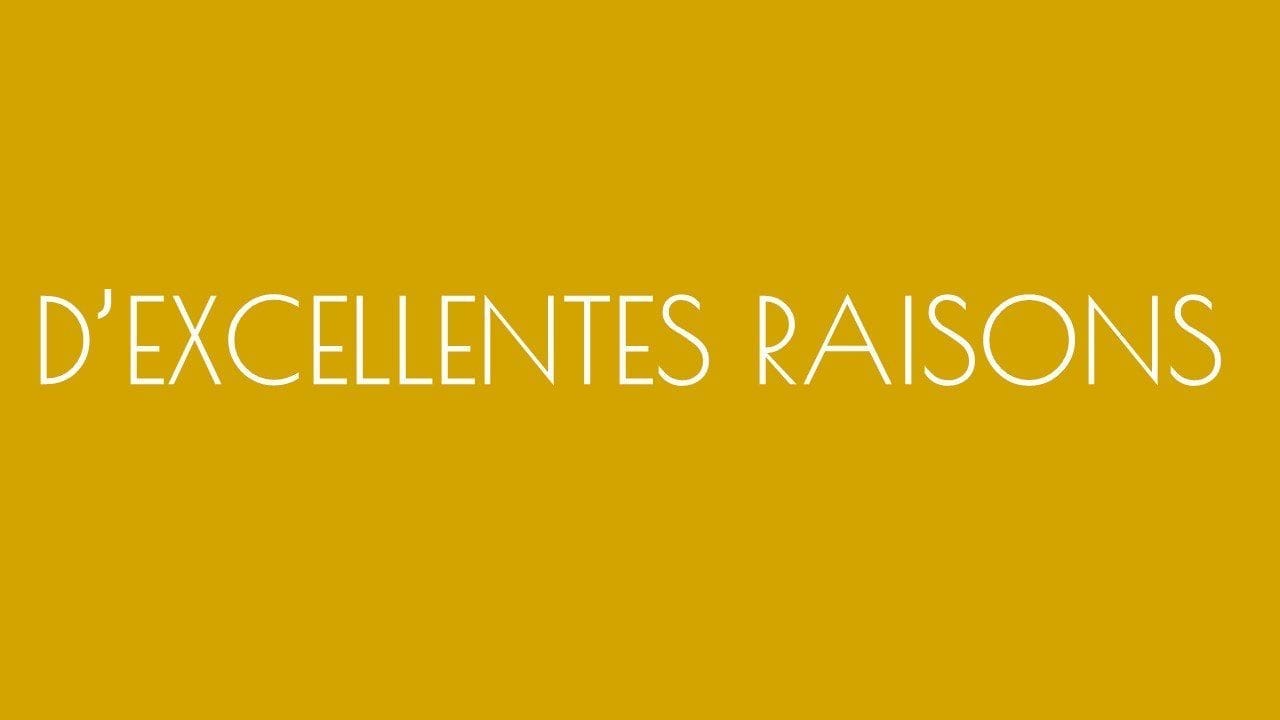 Boutique - D'excellentes raisons Châtillon-sur-Saône - Logo