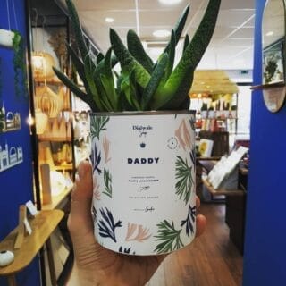 Boutique Monsieur Basil Oullins - Plantes