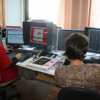 Cardon Confection Tradilinge