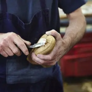 Cléon Chaussures - Atelier
