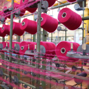 Ourdissage Maison Bonnefoy