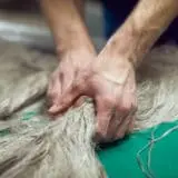 safilin filateur de lin chanvre Safilin - Filateur de fils de lin et de chanvre