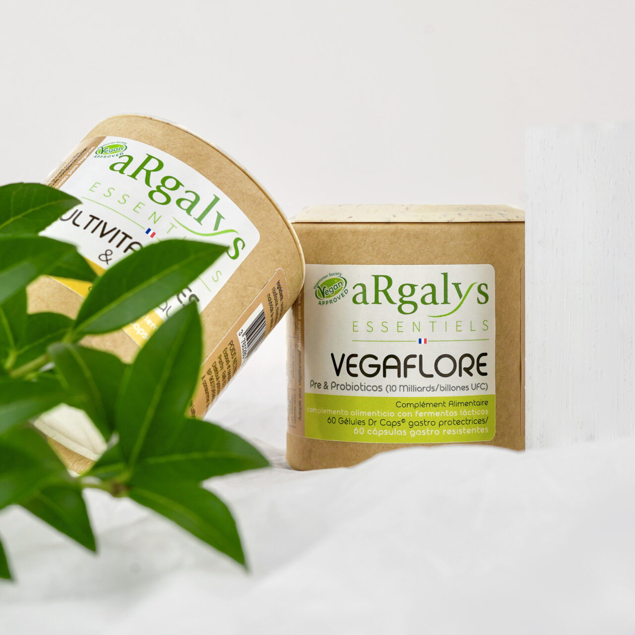 Argalys - Essentiels - Probiotique