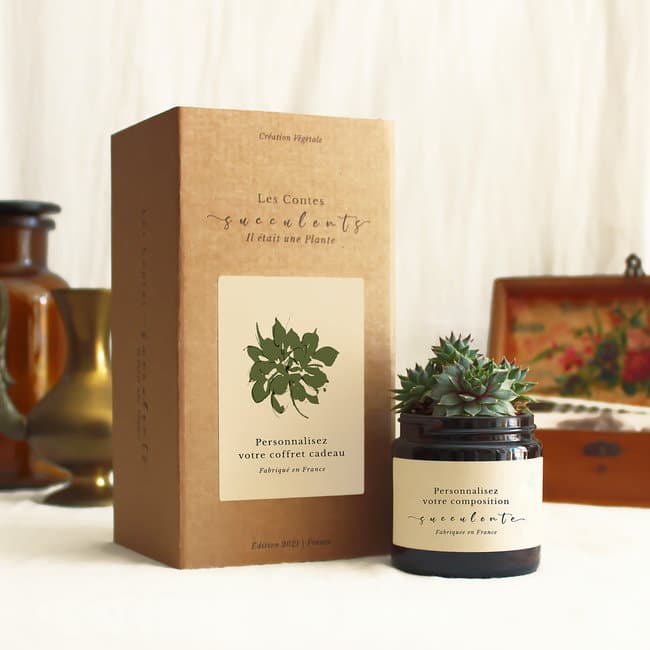 Les Contes Succulents - Box plante personnalisée
