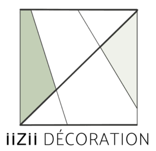 logo IIZII