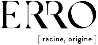Logo ERRO