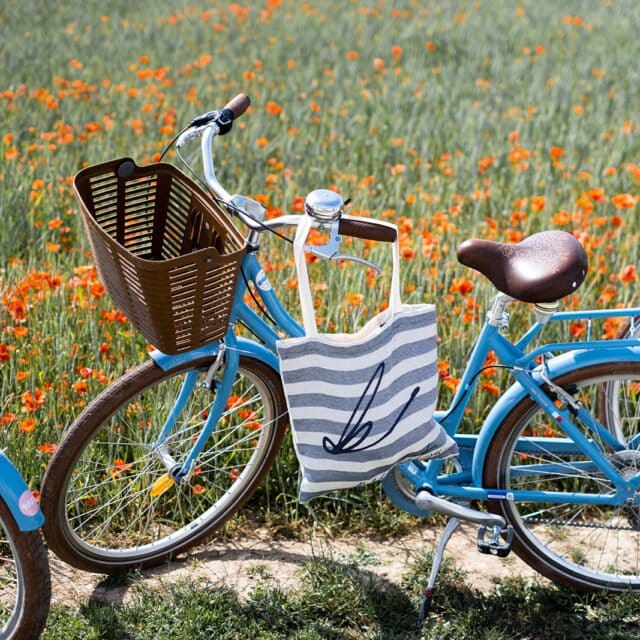 Naiakitsu - Le totebag