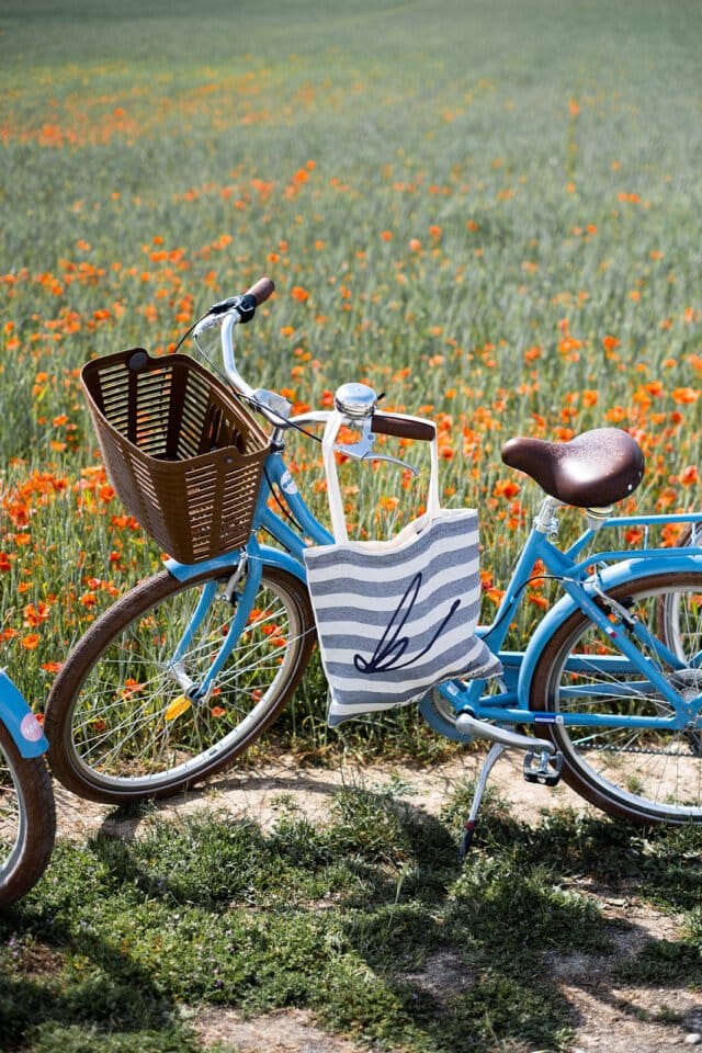 Naiakitsu - Le totebag