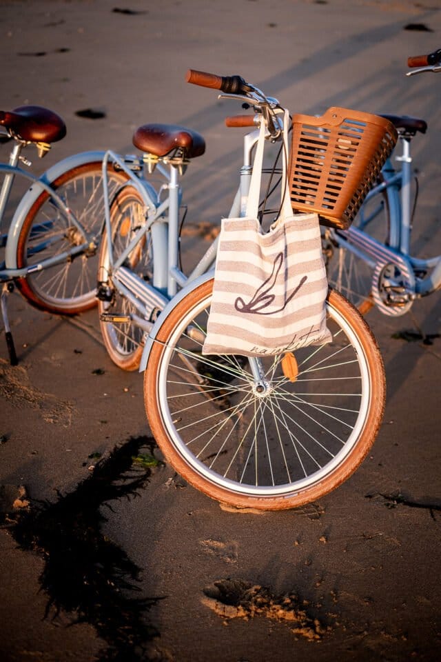 Naiakitsu - Le totebag