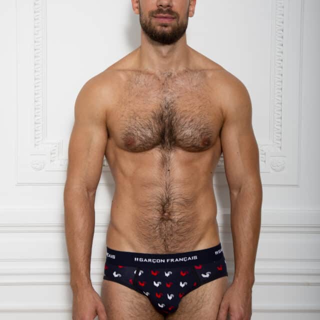 Garçon Français - Slip coqs tricolores