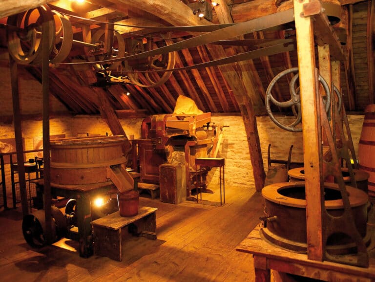 Moutardes Edmond Fallot - Parcours muséographique