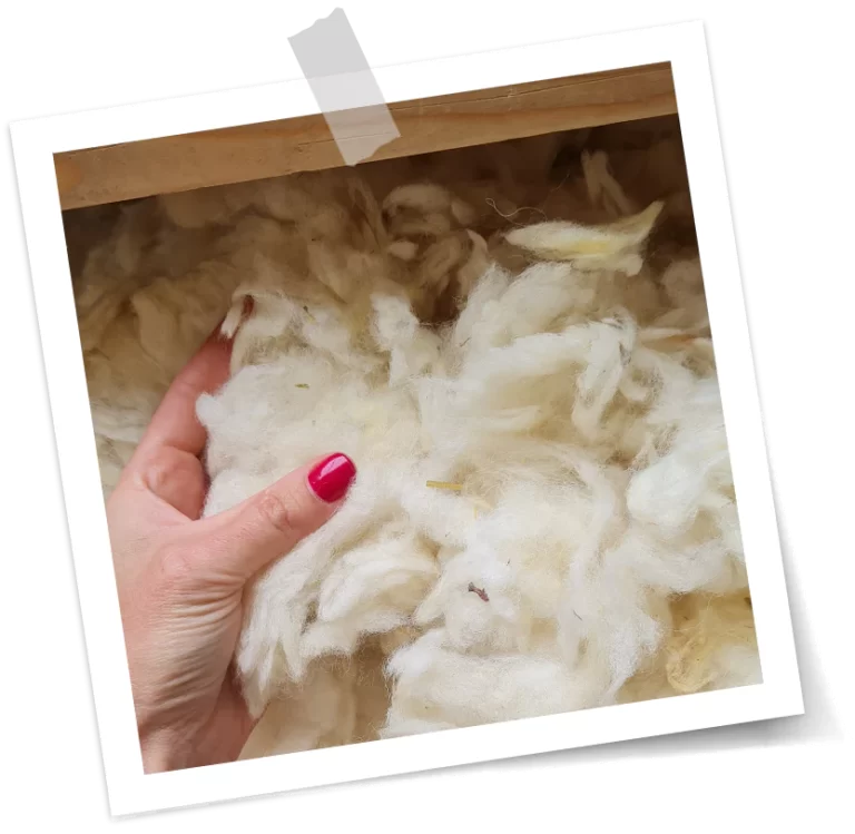 Tou'You - Laine de mouton