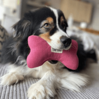 TOU&rsquo;YOU - Jouet pour chien Nonos – Coloris Rose