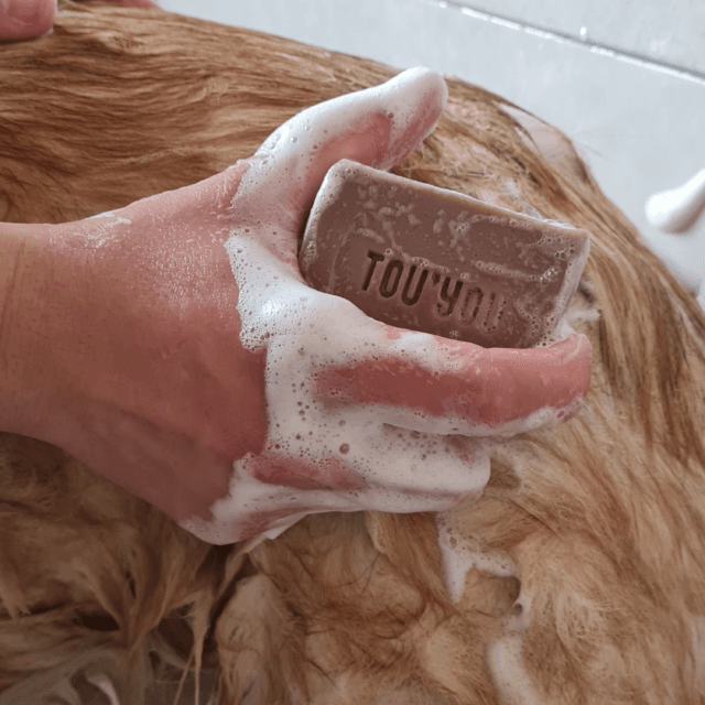 TOU’YOU - Shampoing solide pour chien citron romarin