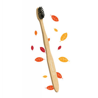 Brosse à dents en bois de hêtre Brosse à dents en bois de hêtre