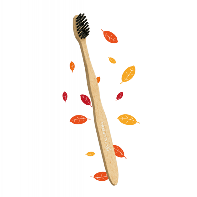 Brosse à dents en bois de hêtre