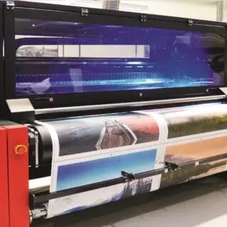 Ceanothe - Impression