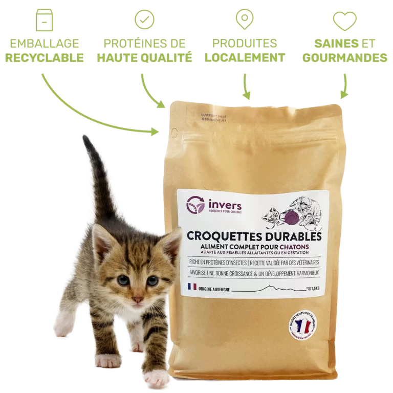 Invers - Croquettes pour chatons