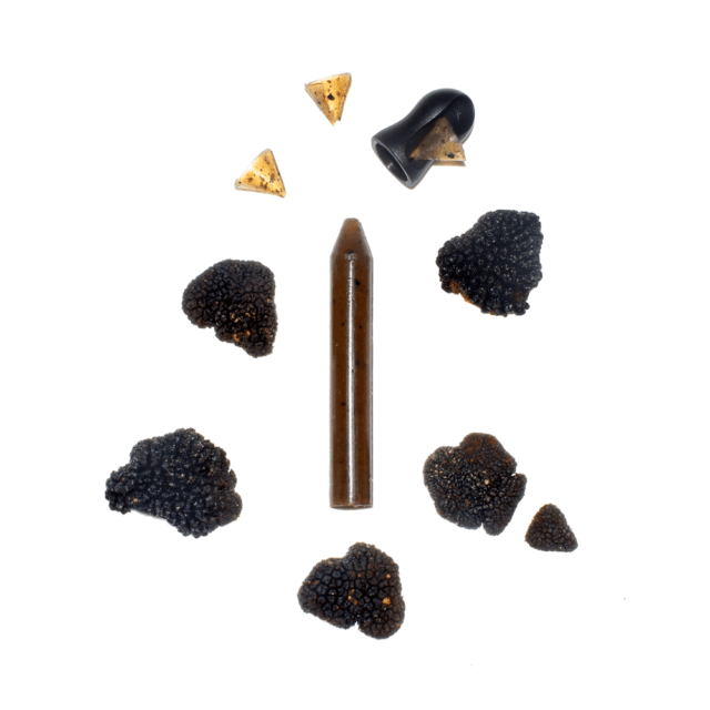 OCNI Factory - Coffret 1 crayon - truffe noire
