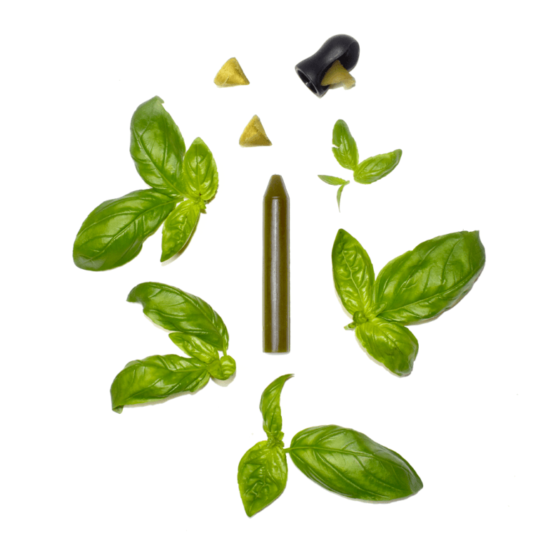 OCNI Factory - Coffret découverte - 3 crayons : citron confit (bio) + basilic (bio) + biment & ail (bio)
