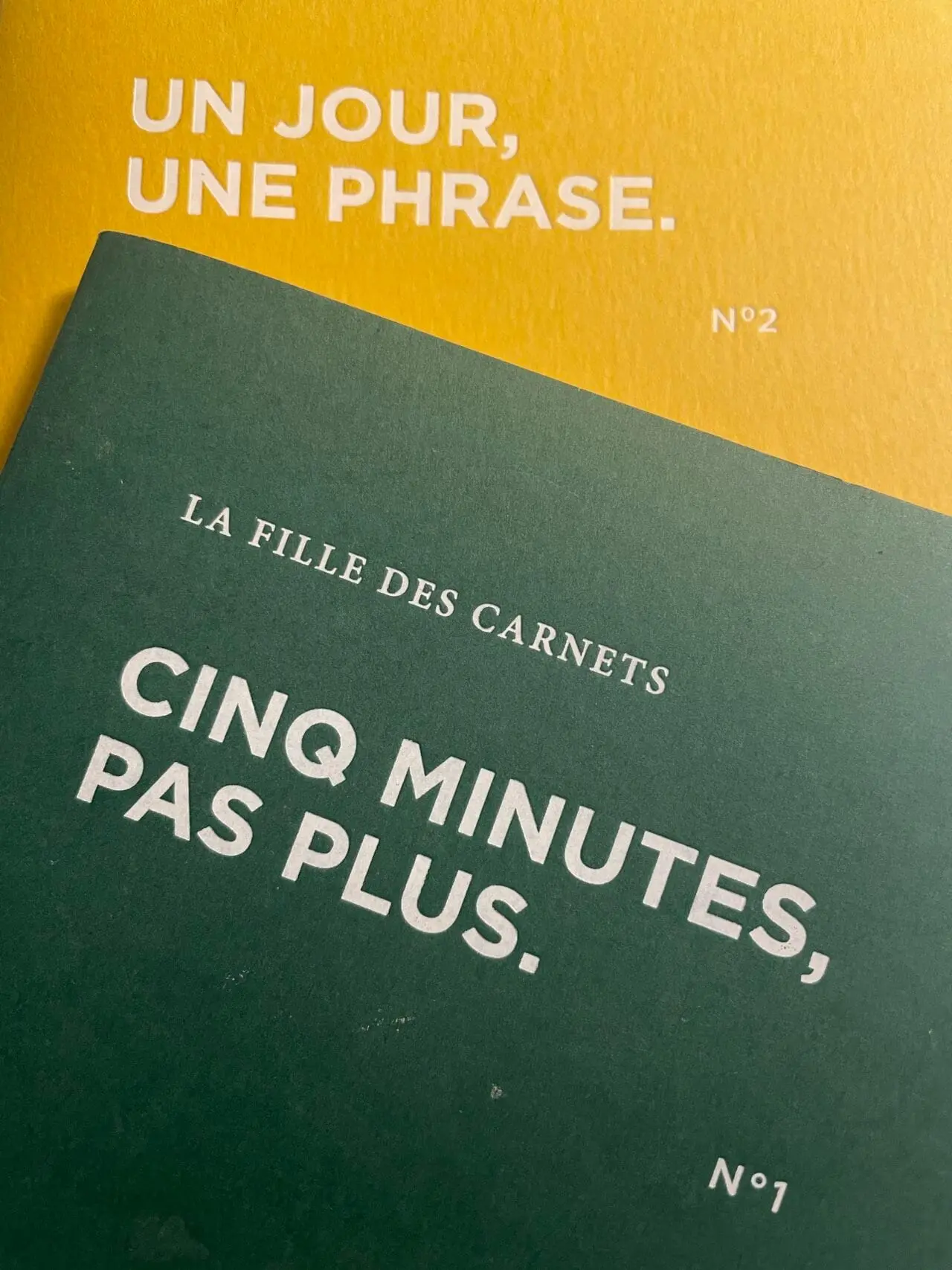 La Fille des carnets