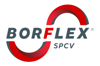 Borflex SPCV - Logo