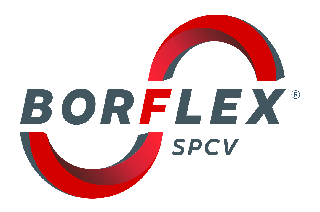 Borflex SPCV - Logo