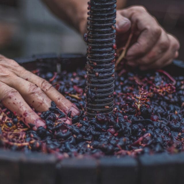 The French Game - Raisin