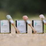 Les peintures made in France