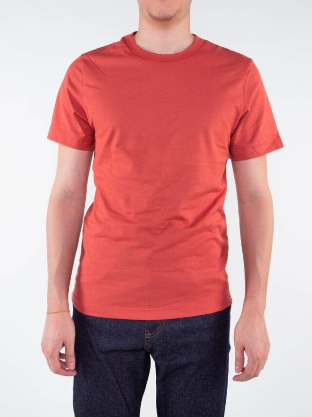 304 x00 00co1xxxxxx brique 01 1083 - T-SHIRT DROIT 304 UNI coton bio brique Homme