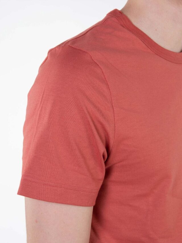 1083 - T-SHIRT DROIT 304 UNI coton bio brique Homme