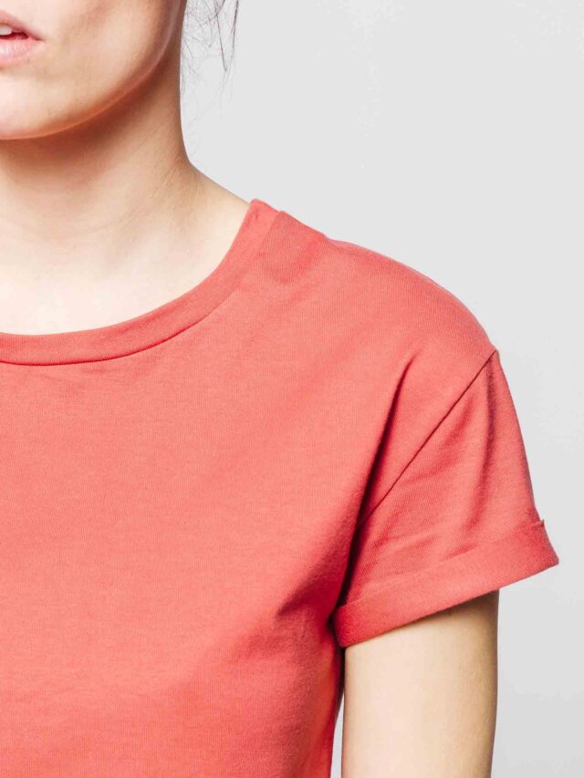 1083 - T-SHIRT COL ROND 403 UNI coton bio brique Femme