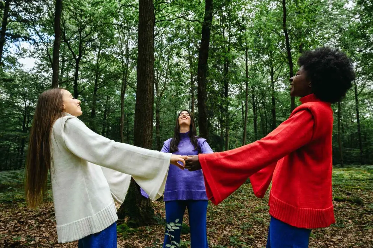 Divine Harmonie -pulls