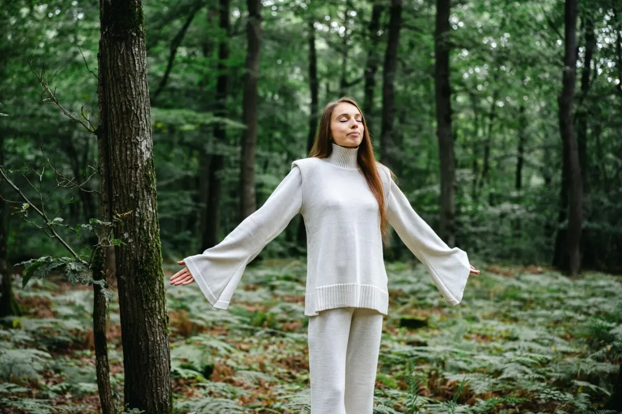 Divine Harmonie - pull