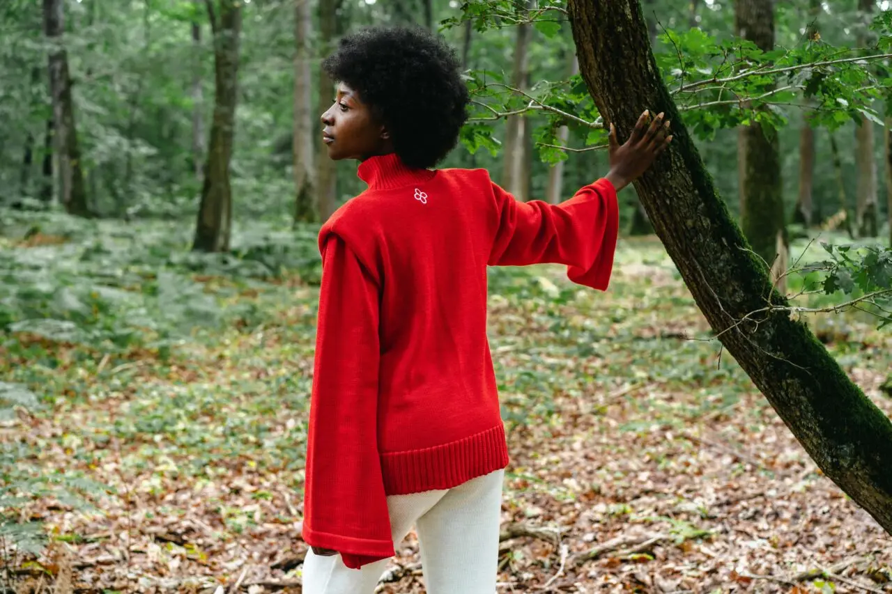 Divine Harmonie - pull