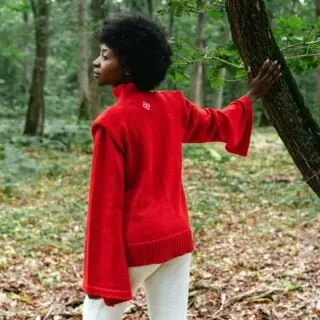 Divine Harmonie - pull