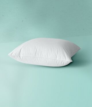 Oreiller Duvet Le Renaissance par la marque Edona Edona - Oreiller Duvet Le Renaissance