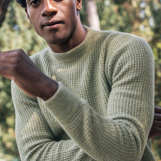 Montlimart - PULL ORIGINE SAUGE