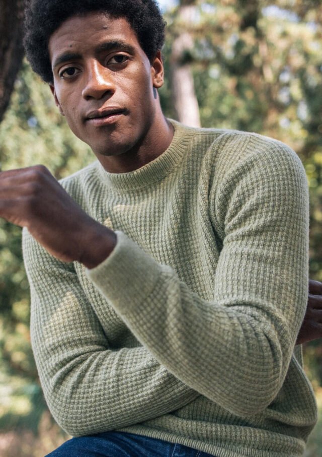 Montlimart - PULL ORIGINE SAUGE