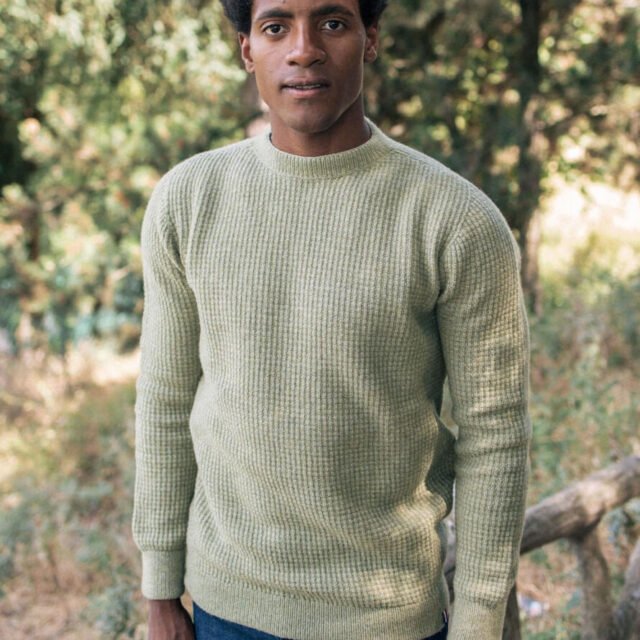 Montlimart - PULL ORIGINE SAUGE