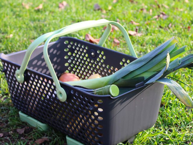 MVIndustrie panier potager pique nique MVIndustrie panier potager pique nique