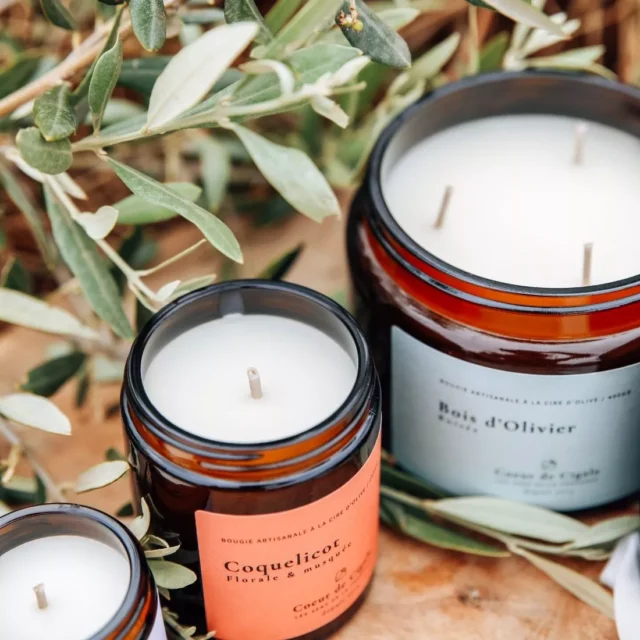 Coeur de cigale - bougies