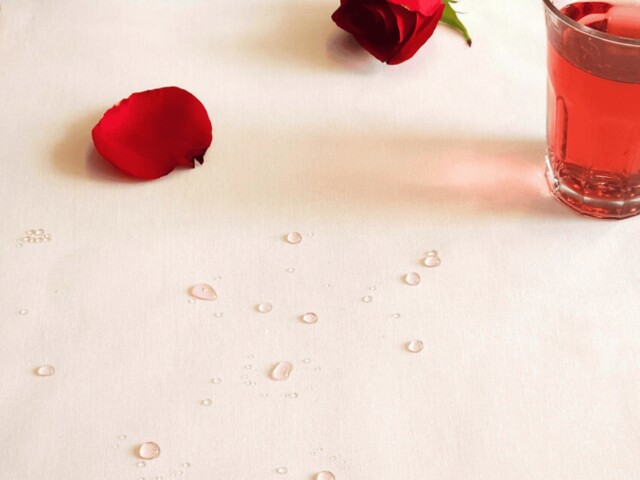 Nappe enduite blanche Fleur de Soleil