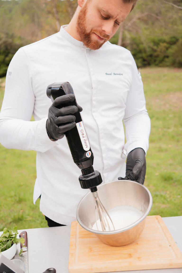 Mixeur plongeant MINIPRO sans fil avec accessoire fouet