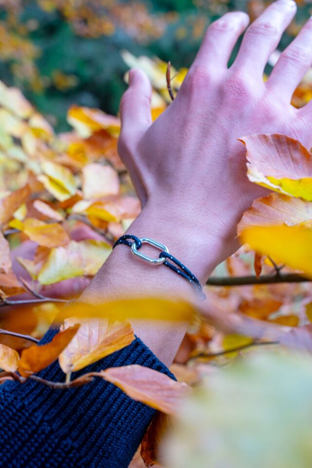 Le Vent à la Française -