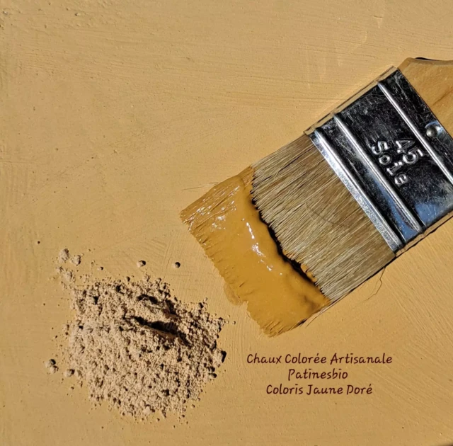 Capucine-patinesbio-chaux-coloree-jaune-dore