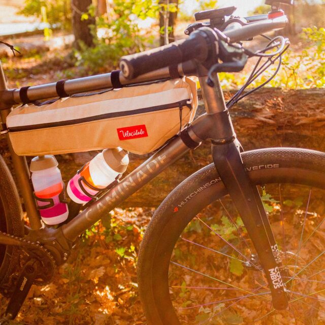 Atelier Velocidade - Gypaète