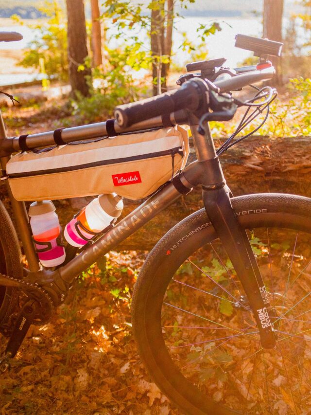 Atelier Velocidade - Gypaète