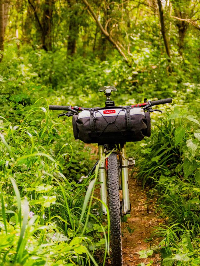 Atelier Velocidade - Grizzli 2.0